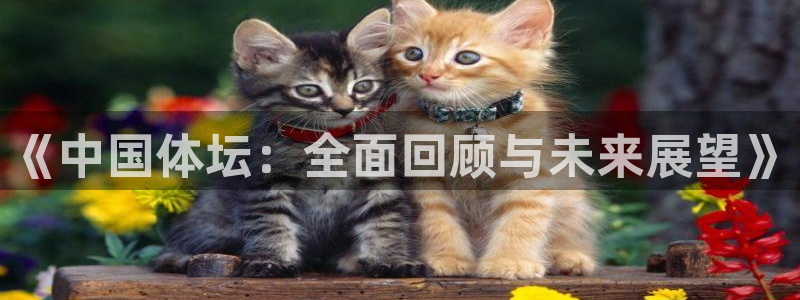 《中国体坛：全面回顾与未来展望》