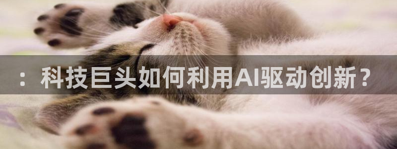 ：科技巨头如何利用AI驱动创新？