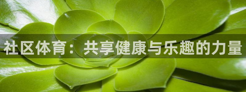 社区体育：共享健康与乐趣的力量