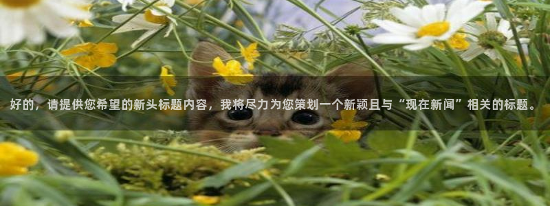 好的，请提供您希望的新头标题内容，我将尽力为您策划一个新颖且与“现在新闻”相关的标题。