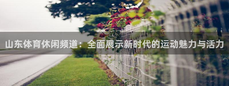 山东体育休闲频道：全面展示新时代的运动魅力与活力