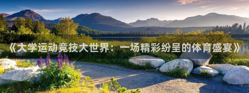 《大学运动竞技大世界：一场精彩纷呈的体育盛宴》