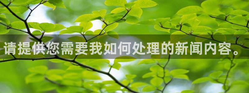 请提供您需要我如何处理的新闻内容。