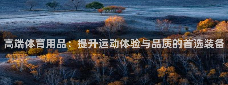 高端体育用品：提升运动体验与品质的首选装备