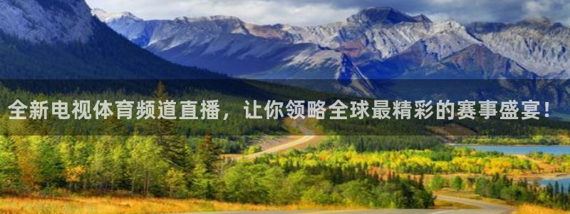 全新电视体育频道直播，让你领略全球最精彩的赛事盛宴！