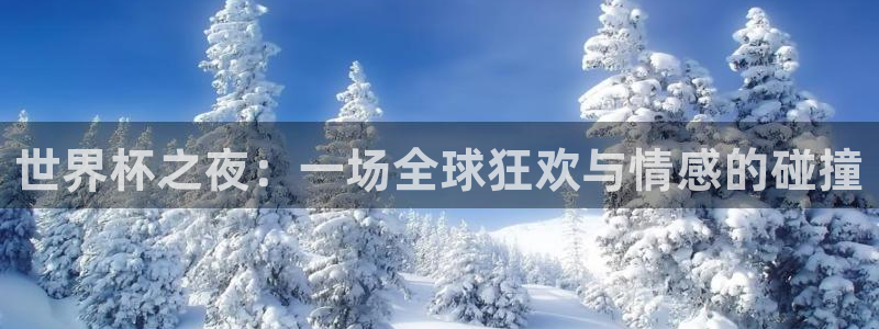 世界杯之夜：一场全球狂欢与情感的碰撞