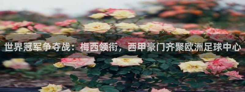 世界冠军争夺战：梅西领衔，西甲豪门齐聚欧洲足球中心