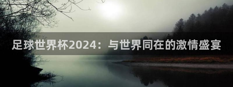 足球世界杯2024：与世界同在的激情盛宴