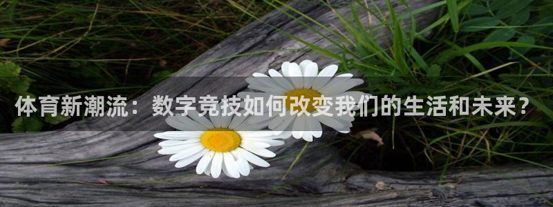 体育新潮流：数字竞技如何改变我们的生活和未来？