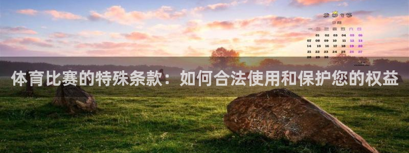 体育比赛的特殊条款：如何合法使用和保护您的权益