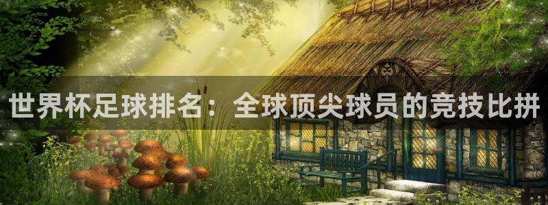 世界杯足球排名：全球顶尖球员的竞技比拼