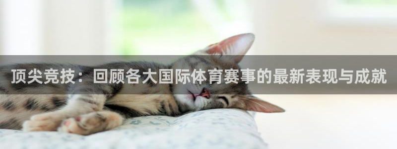 顶尖竞技：回顾各大国际体育赛事的最新表现与成就