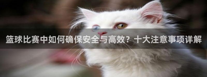 篮球比赛中如何确保安全与高效？十大注意事项详解