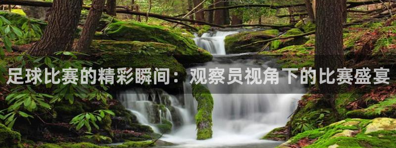足球比赛的精彩瞬间：观察员视角下的比赛盛宴