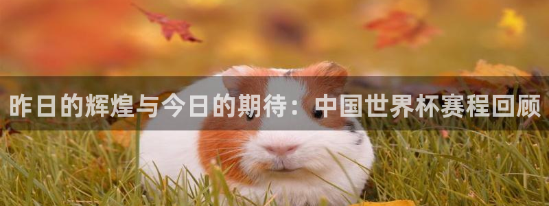 昨日的辉煌与今日的期待：中国世界杯赛程回顾
