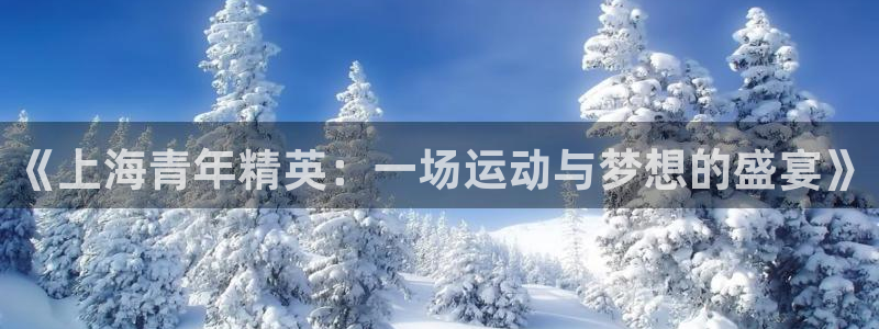 《上海青年精英：一场运动与梦想的盛宴》