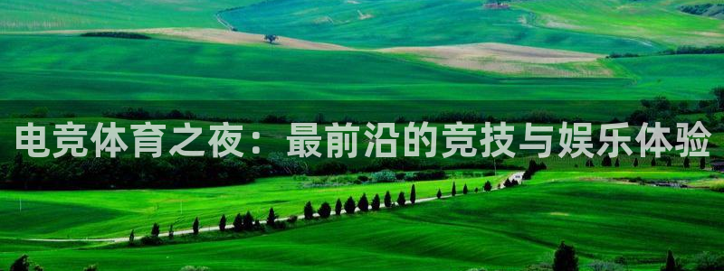 电竞体育之夜：最前沿的竞技与娱乐体验