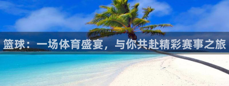 篮球：一场体育盛宴，与你共赴精彩赛事之旅