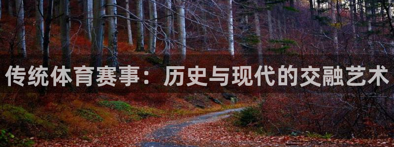 传统体育赛事：历史与现代的交融艺术