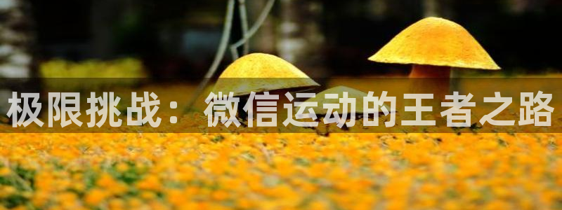 极限挑战：微信运动的王者之路