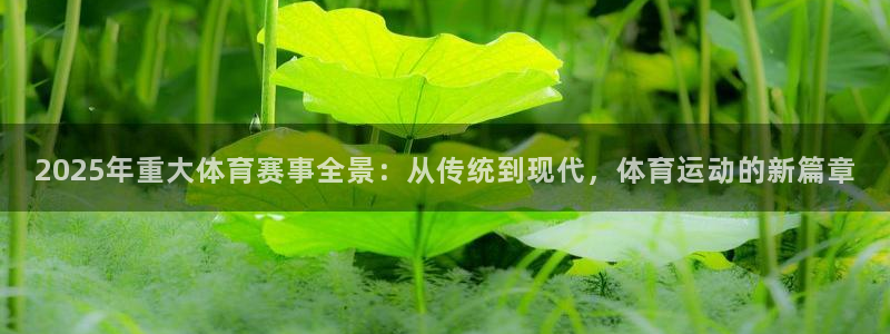 2025年重大体育赛事全景：从传统到现代，体育运动的新篇章