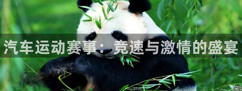 汽车运动赛事：竞速与激情的盛宴