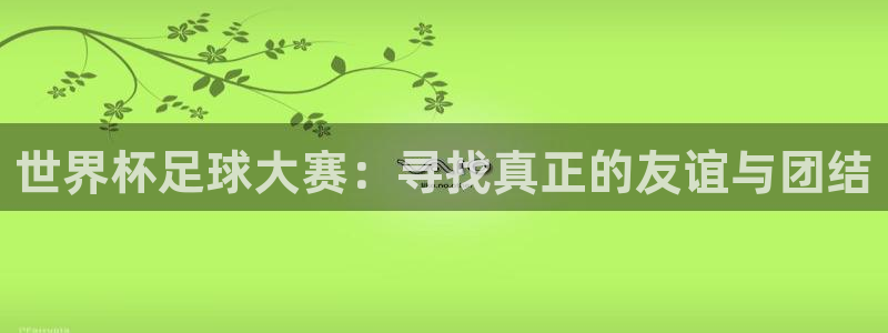 世界杯足球大赛：寻找真正的友谊与团结