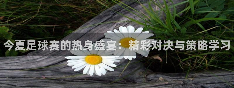今夏足球赛的热身盛宴：精彩对决与策略学习