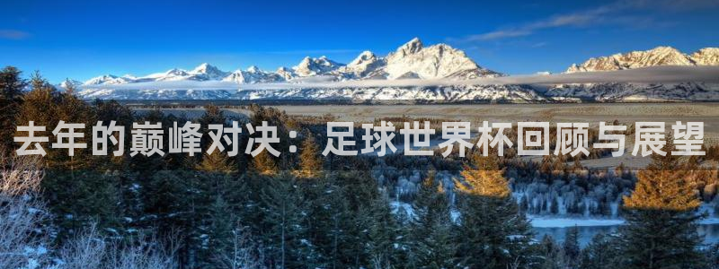 去年的巅峰对决：足球世界杯回顾与展望