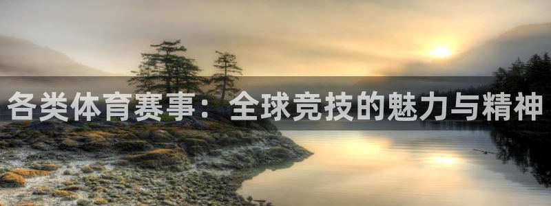 各类体育赛事：全球竞技的魅力与精神