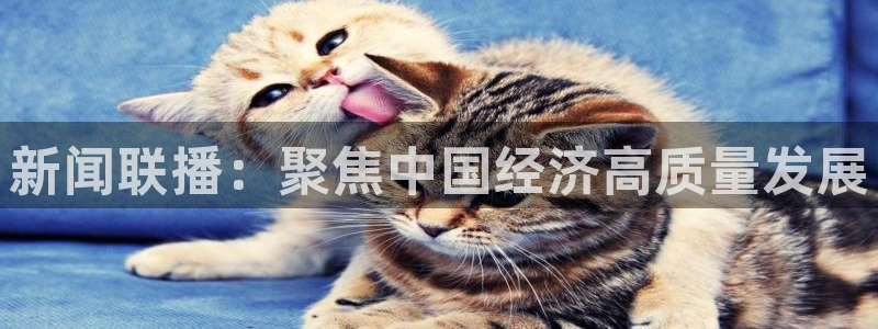 新闻联播：聚焦中国经济高质量发展