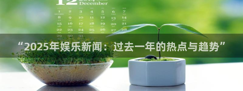 “2025年娱乐新闻：过去一年的热点与趋势”