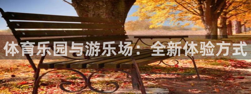 体育乐园与游乐场：全新体验方式