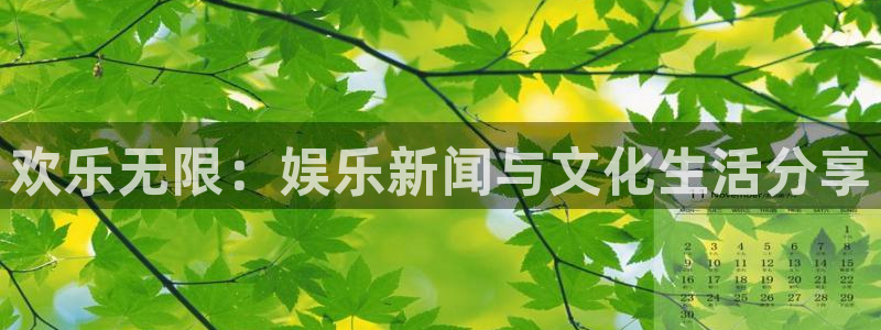 欢乐无限：娱乐新闻与文化生活分享