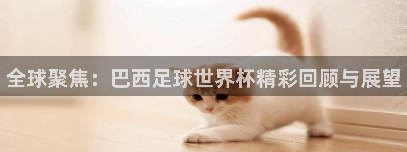 全球聚焦：巴西足球世界杯精彩回顾与展望