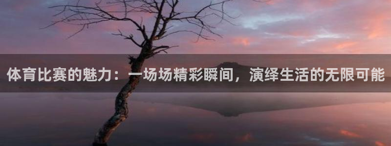 体育比赛的魅力：一场场精彩瞬间，演绎生活的无限可能