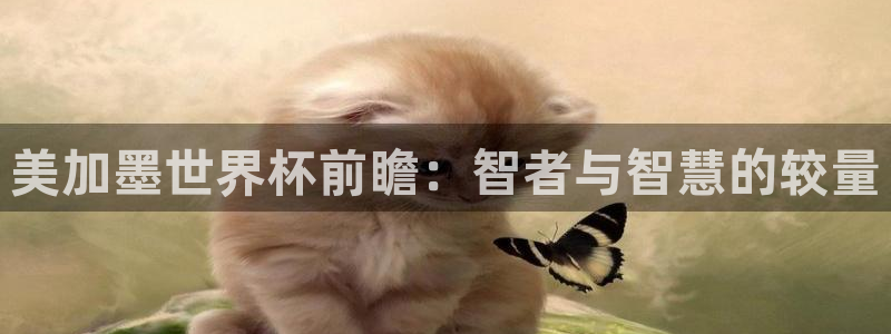 美加墨世界杯前瞻：智者与智慧的较量