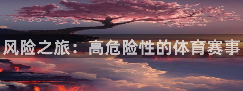 风险之旅：高危险性的体育赛事