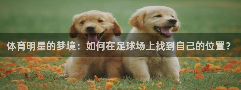 体育明星的梦境：如何在足球场上找到自己的位置？