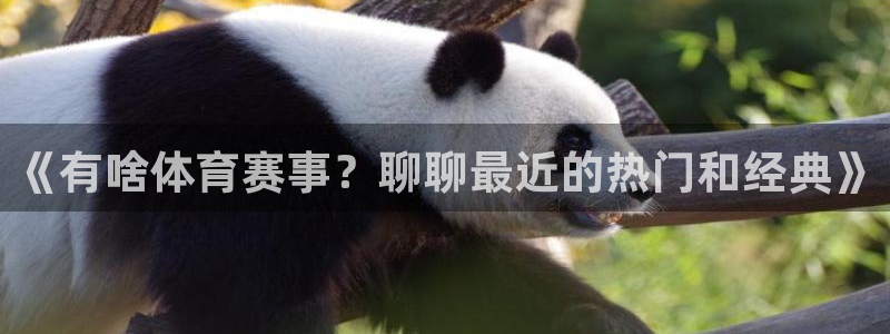 《有啥体育赛事？聊聊最近的热门和经典》
