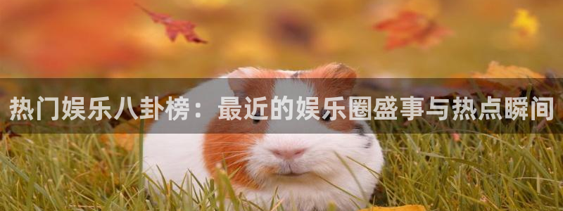 热门娱乐八卦榜：最近的娱乐圈盛事与热点瞬间