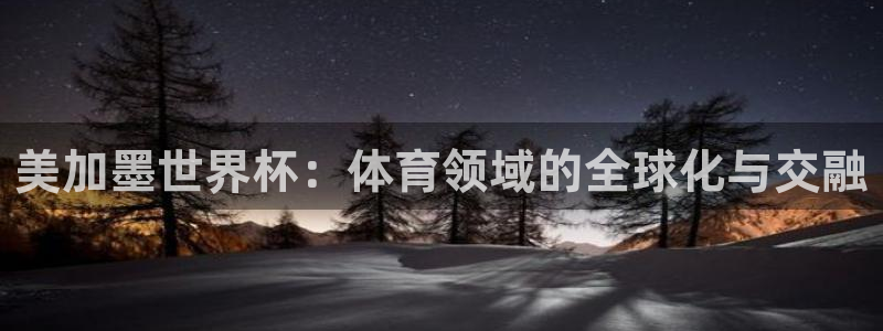 美加墨世界杯：体育领域的全球化与交融