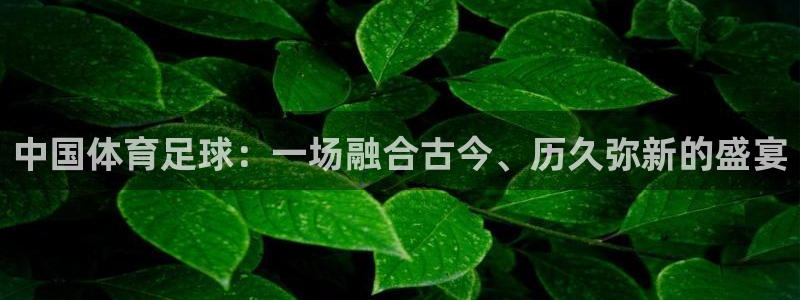 中国体育足球:一场融合古今、历久弥新的盛宴