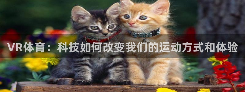 VR体育：科技如何改变我们的运动方式和体验