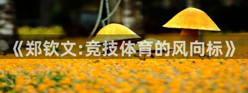 《郑钦文:竞技体育的风向标》