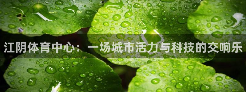 江阴体育中心：一场城市活力与科技的交响乐